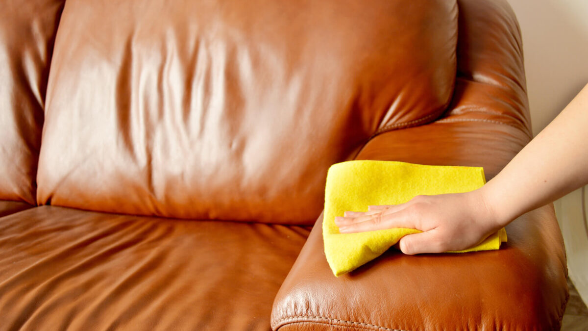 Important Tips How Can You Remove Bad Smells from Your Sofas