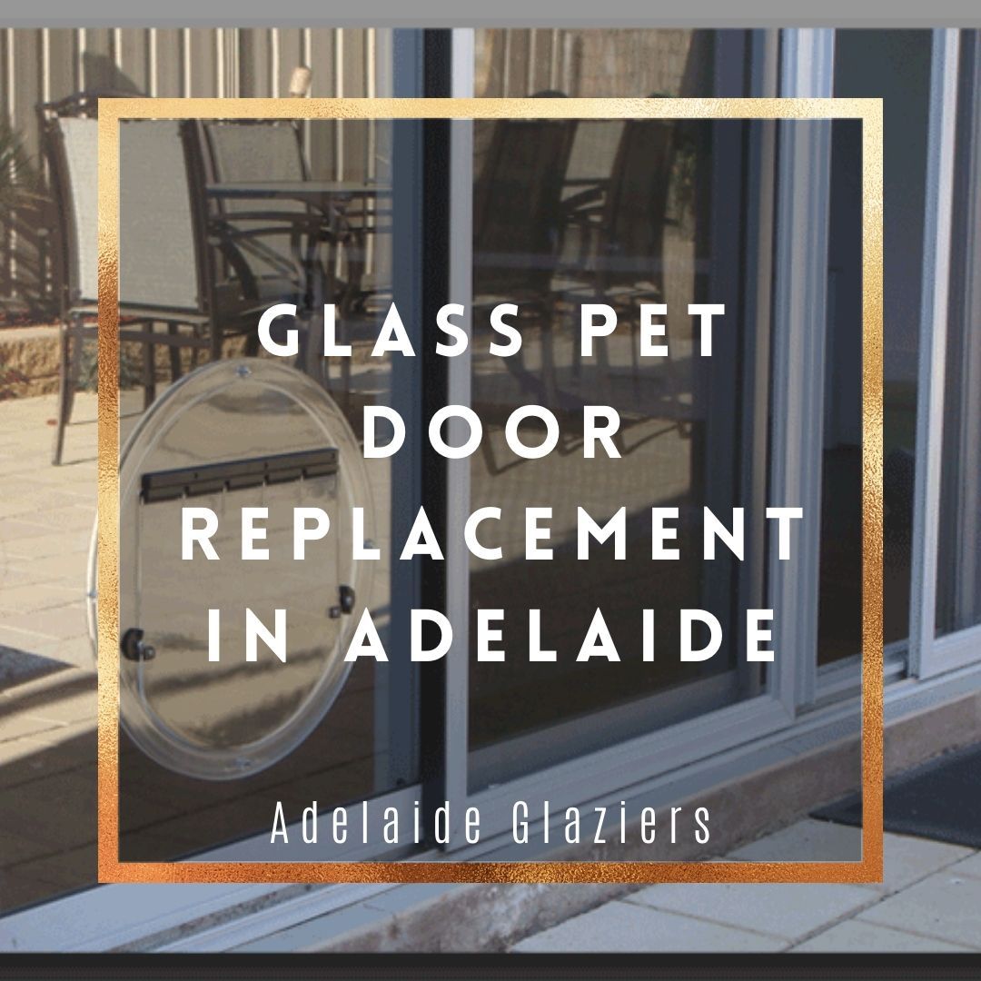 Glass Pet Door Replacement In Adelaide