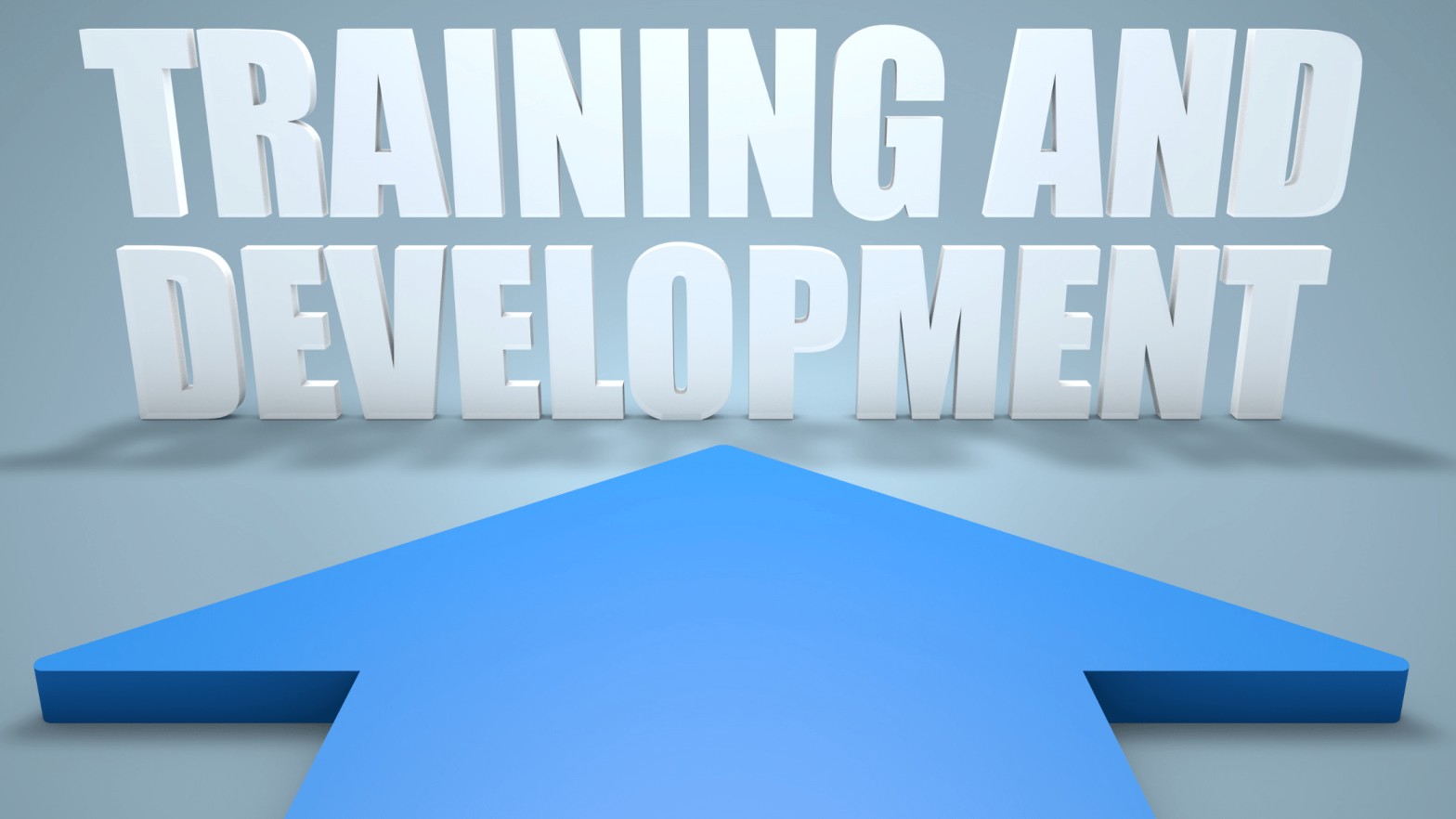 Training and Development Courses