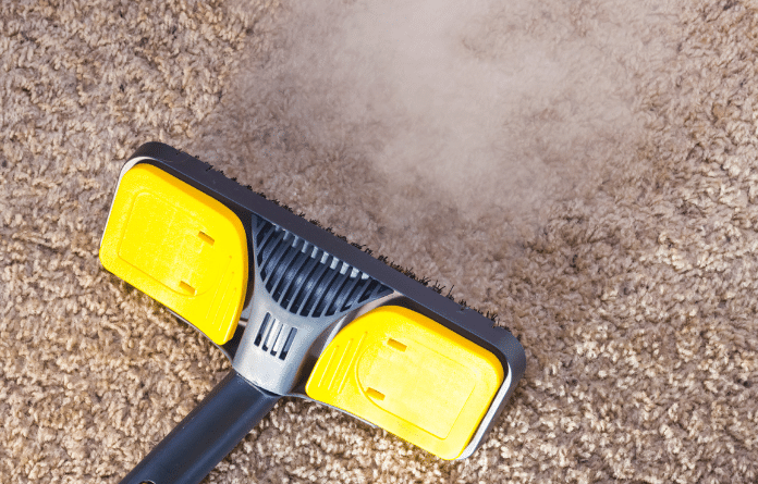Difference Between Same Day Carpet Cleaning and Normal Carpet Cleaning !
