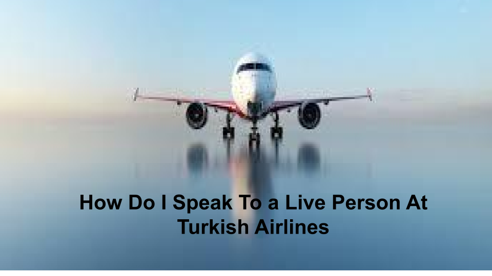 How To Get in Touch With Turkish Airlines? – 24 Hours Service