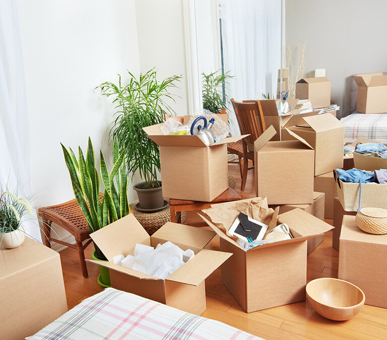 Best Movers and Packers in Ras Al Khaimah