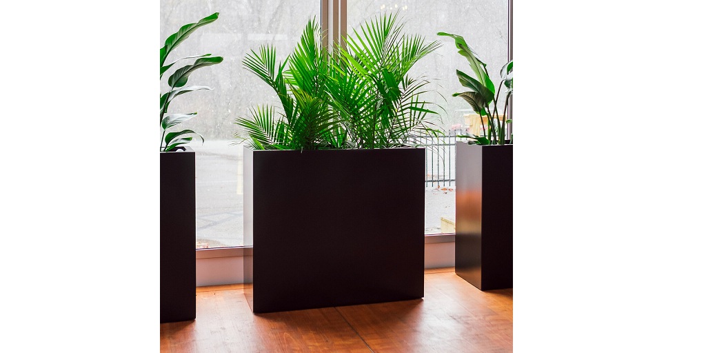 Large Fiberglass Planters Are the Future. Here’s Why