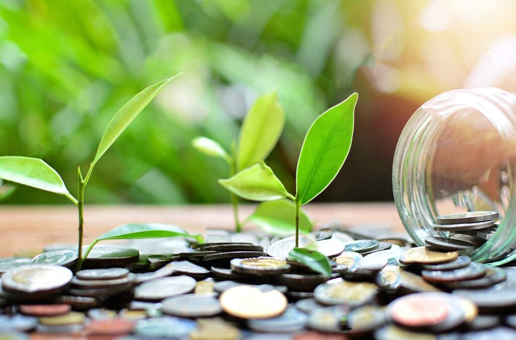 Green Banking for Environmental Sustainability