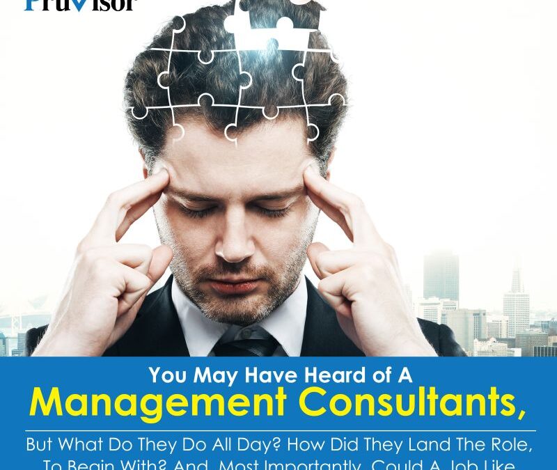 Global Business Management Consulting Firm in India- PruVisor Management Consulting