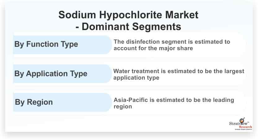 Sodium Hypochlorite Market: Key Success Factors, Growth Trends & Forecast 2021-26