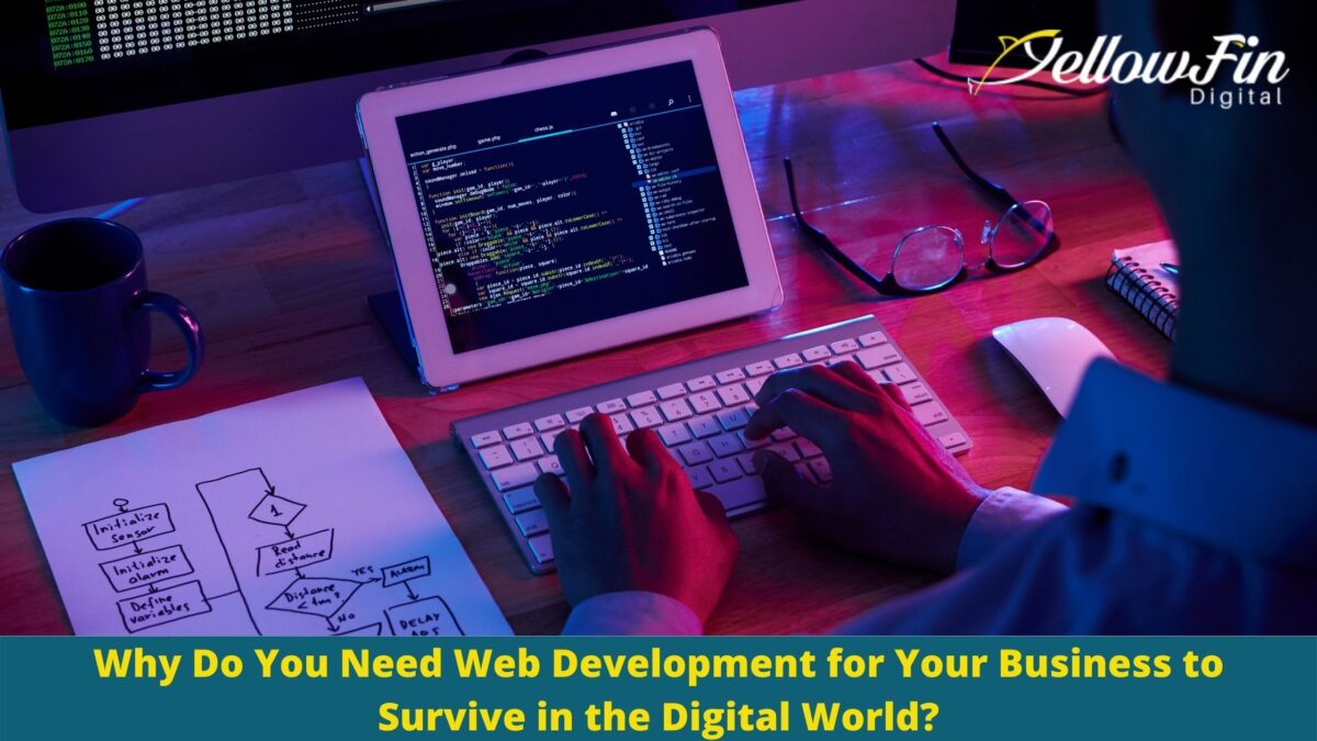Why Do You Need Web Development for Your Business to Survive in the Digital World?