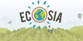 Ecosia vs. Google: Which is the best search engine?