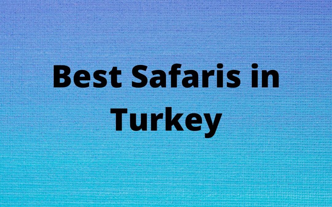 Best Safaris in Turkey