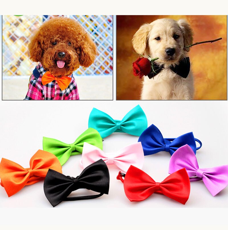 Pet-Dog-Cat-bow-tie-neck-tie-doggy-puppy-bows-necklace-neckties
