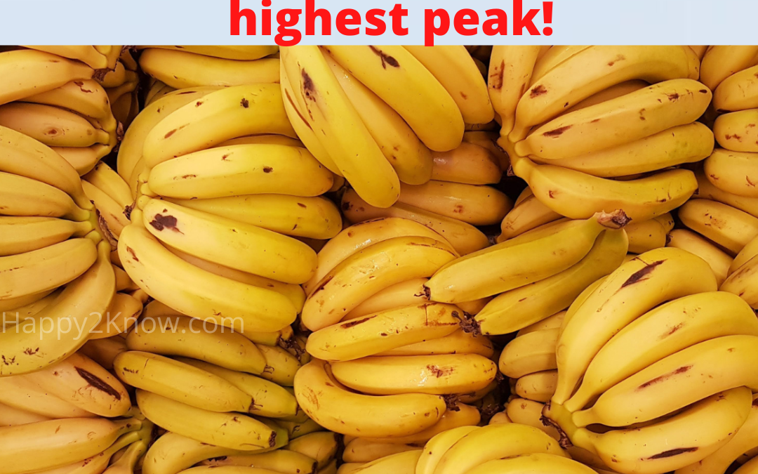 Banana Rates reach Peaks! After 9 years again at its highest peak?
