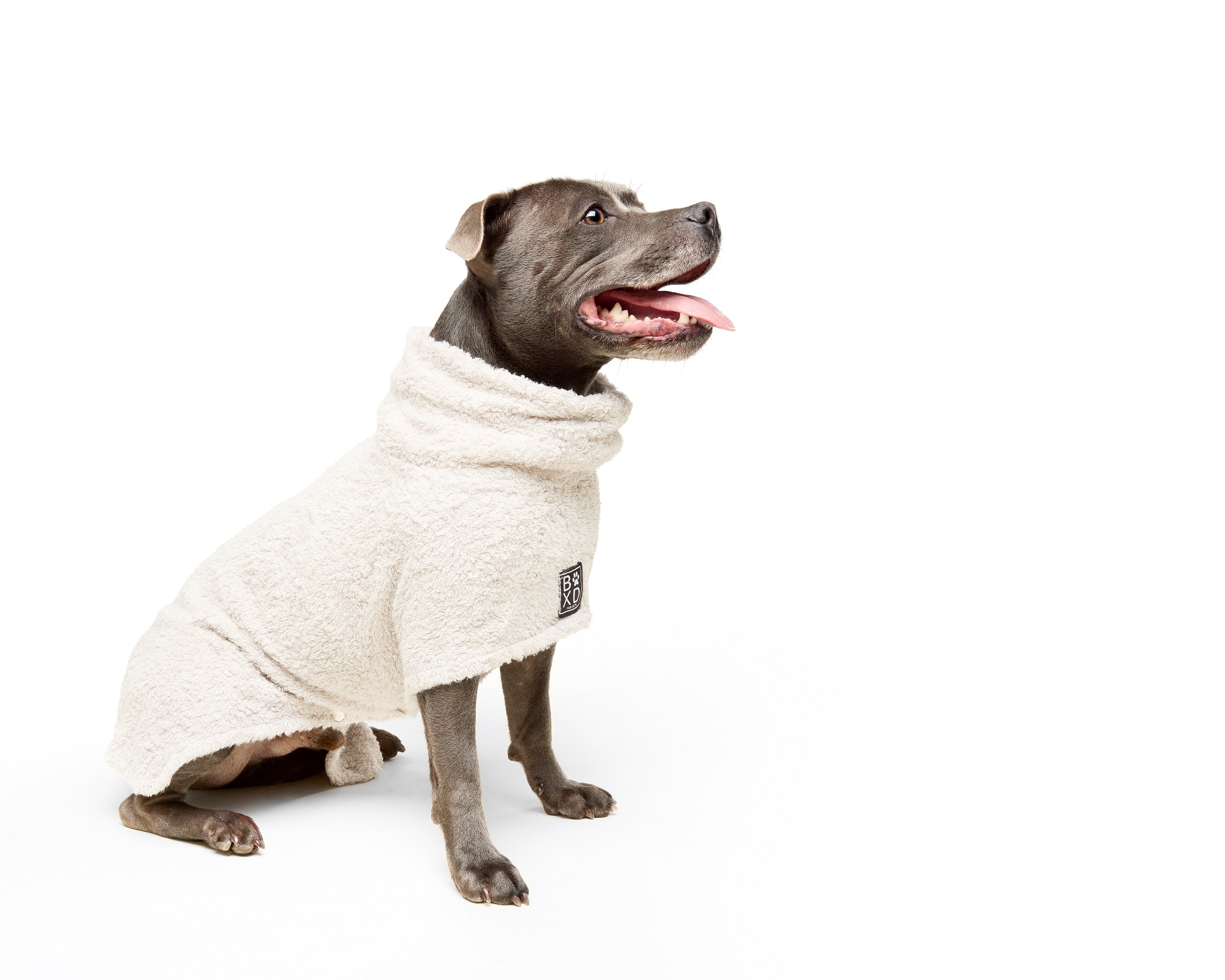dog in white pet towel