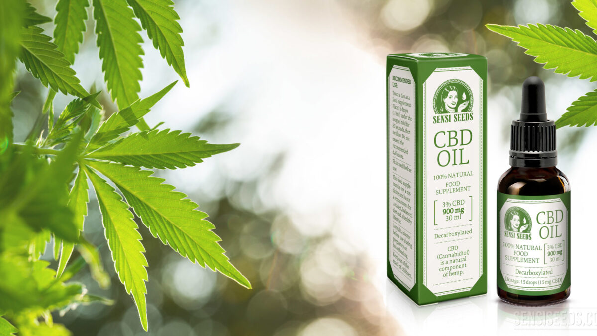 Are You Aware of Diverse Benefits of CBD Oil and Their Uses?