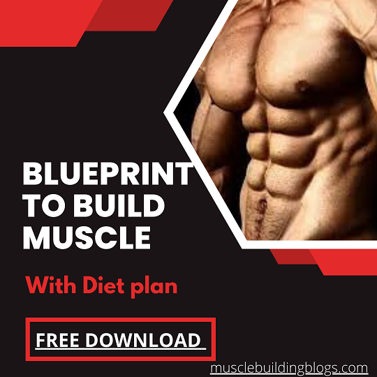 Blueprint-to-Build-Muscle