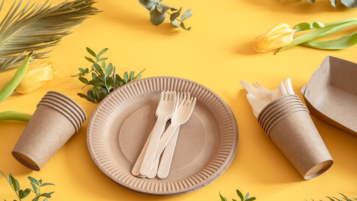 Why Should You buy Disposable Party Plates?