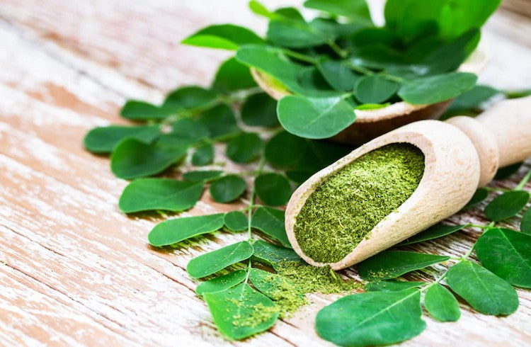 Health Benefits of Moringa and Why to add them to your Diet.