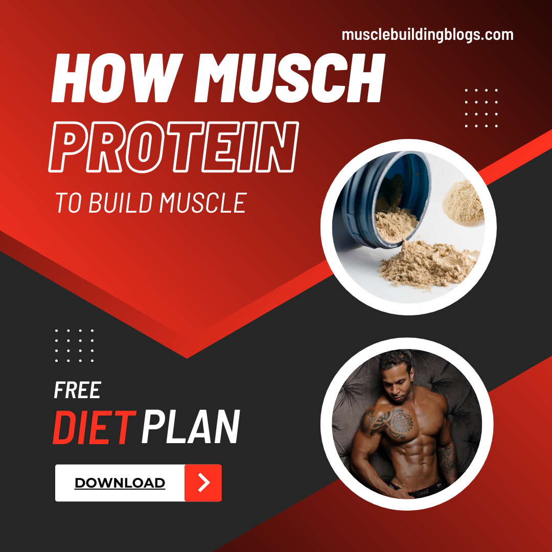 How much protein should I eat to build muscle