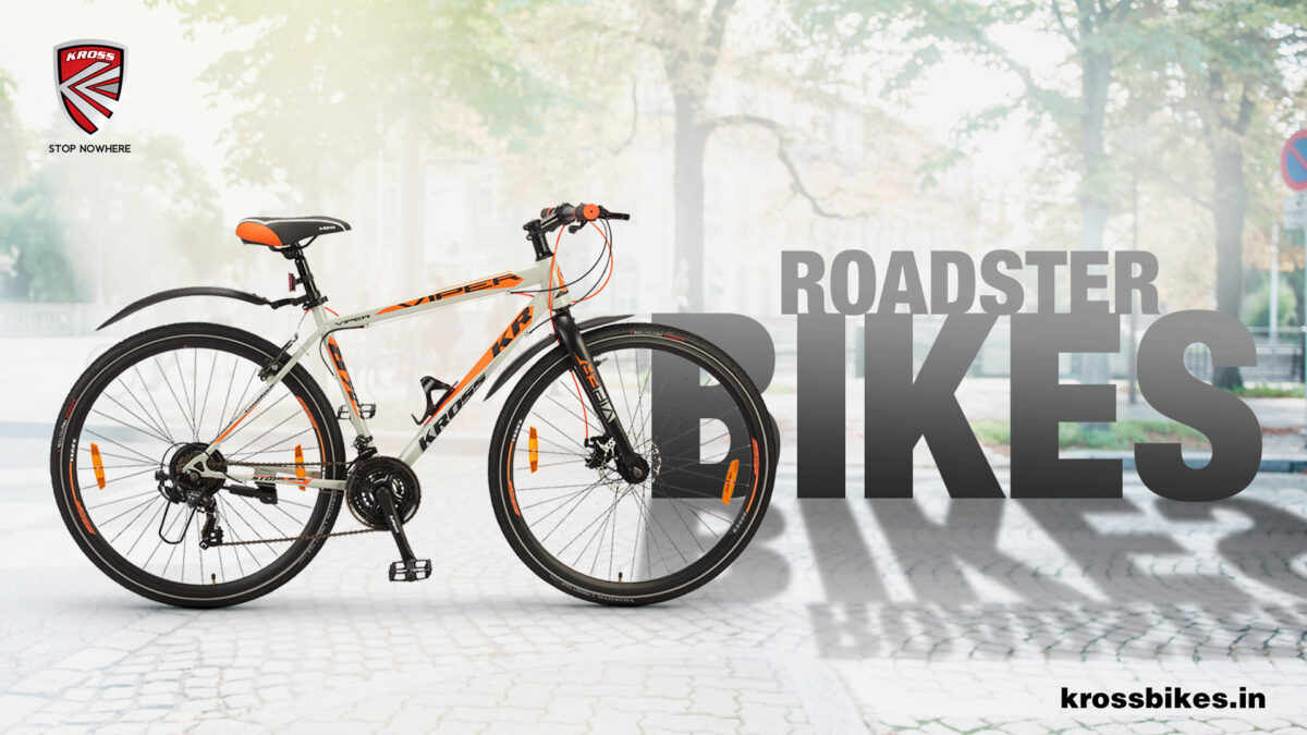 Take Your Favorite Road Bike for Amusing Evening Ride