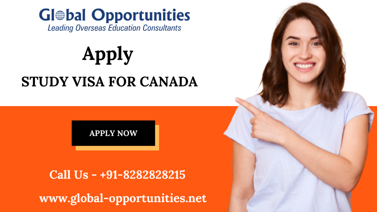 How To Get A Student Visa For Canada In 2022 Complete to Basic Requirements?