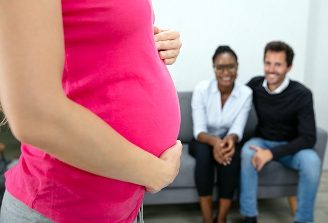 Surrogate Mother Cost in Argentina