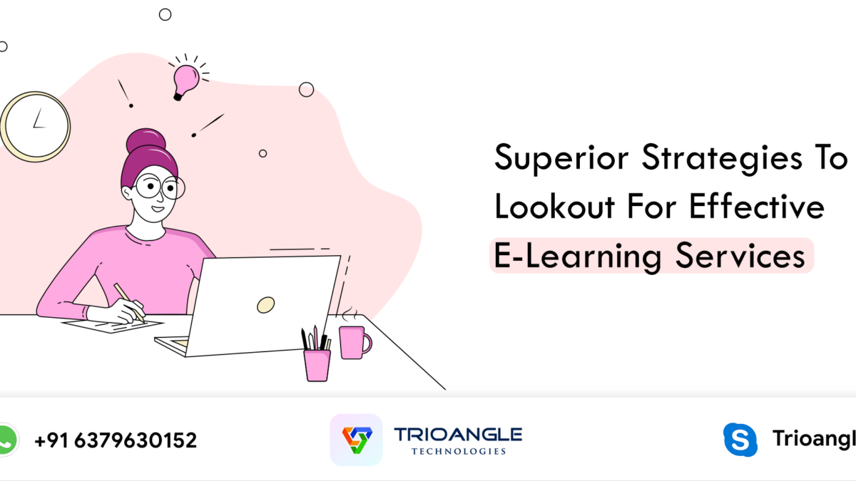 Superior Strategies To Lookout For Effective E-Learning Services