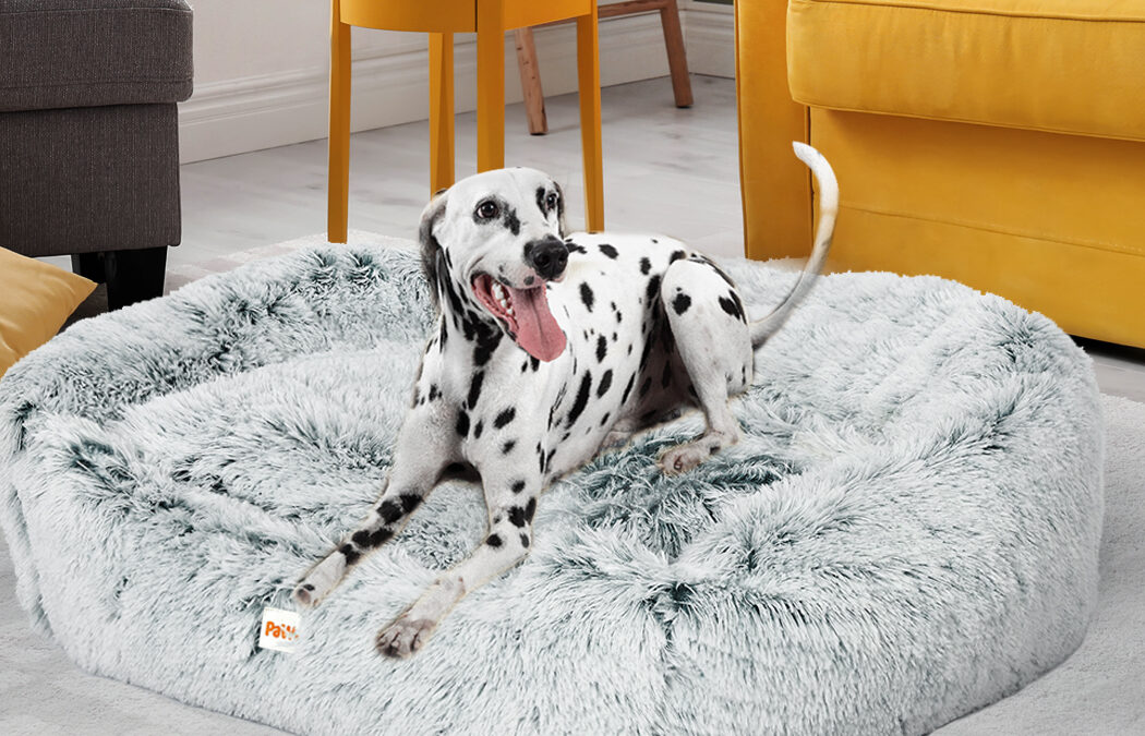 Gift your Pet the best Pet Bed for their Comfortable Sleep