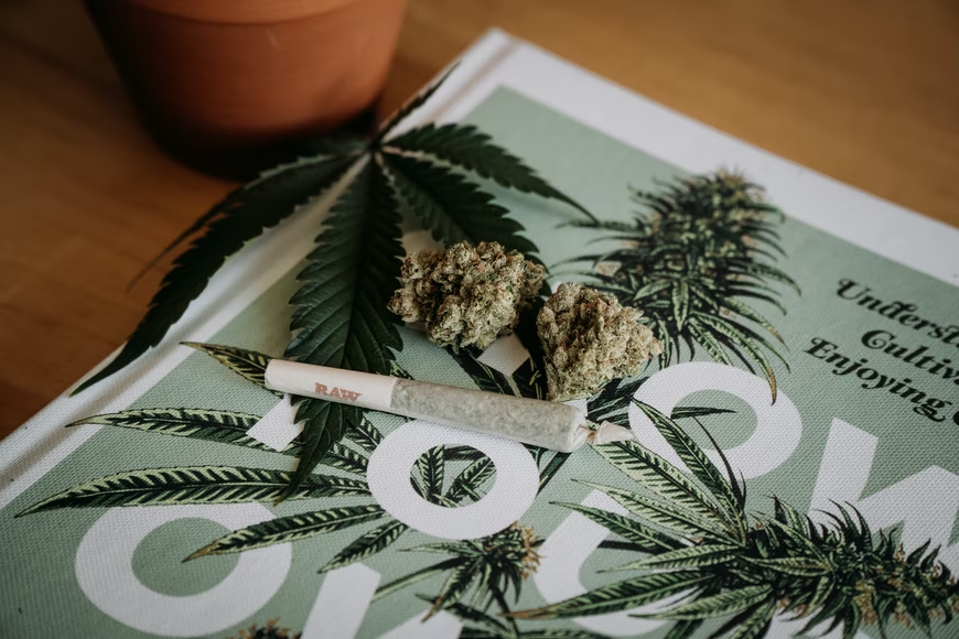 cannabis products on a white and green magazine