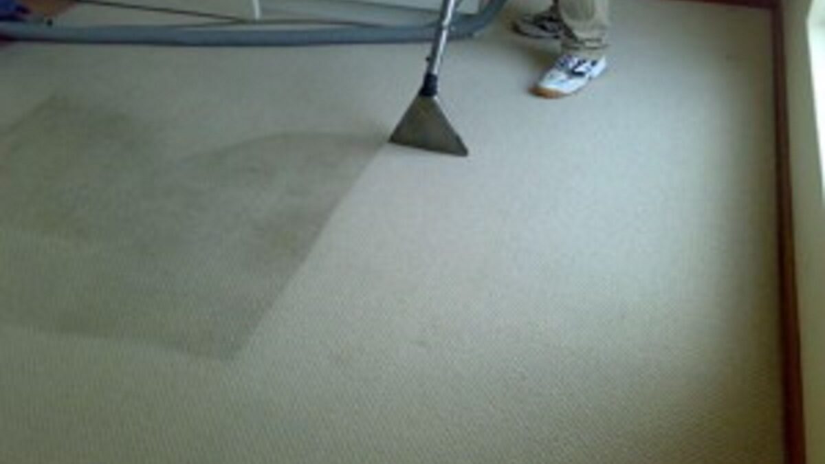 How To Find The Best Carpet Cleaners Near You?