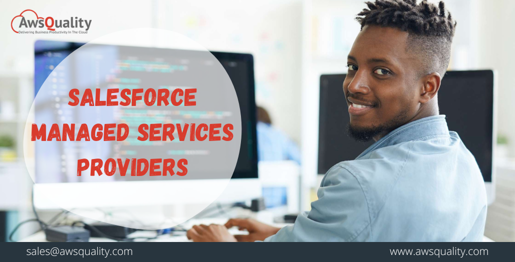 Salesforce Managed Services Providers: Requisites for Maximizing your Investment