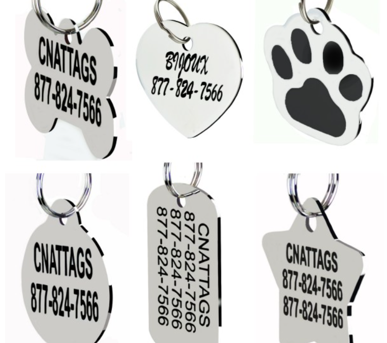 Tips to know when choosing a tag for your pet