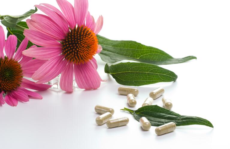 Top 10 The Health Benefits of Herbal Echinacea Capsule