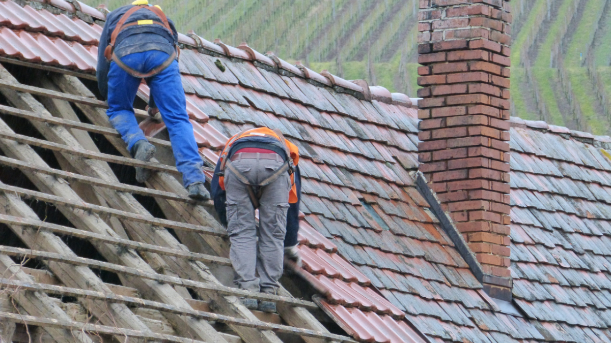 The Definitive Guide To Roof Painting  