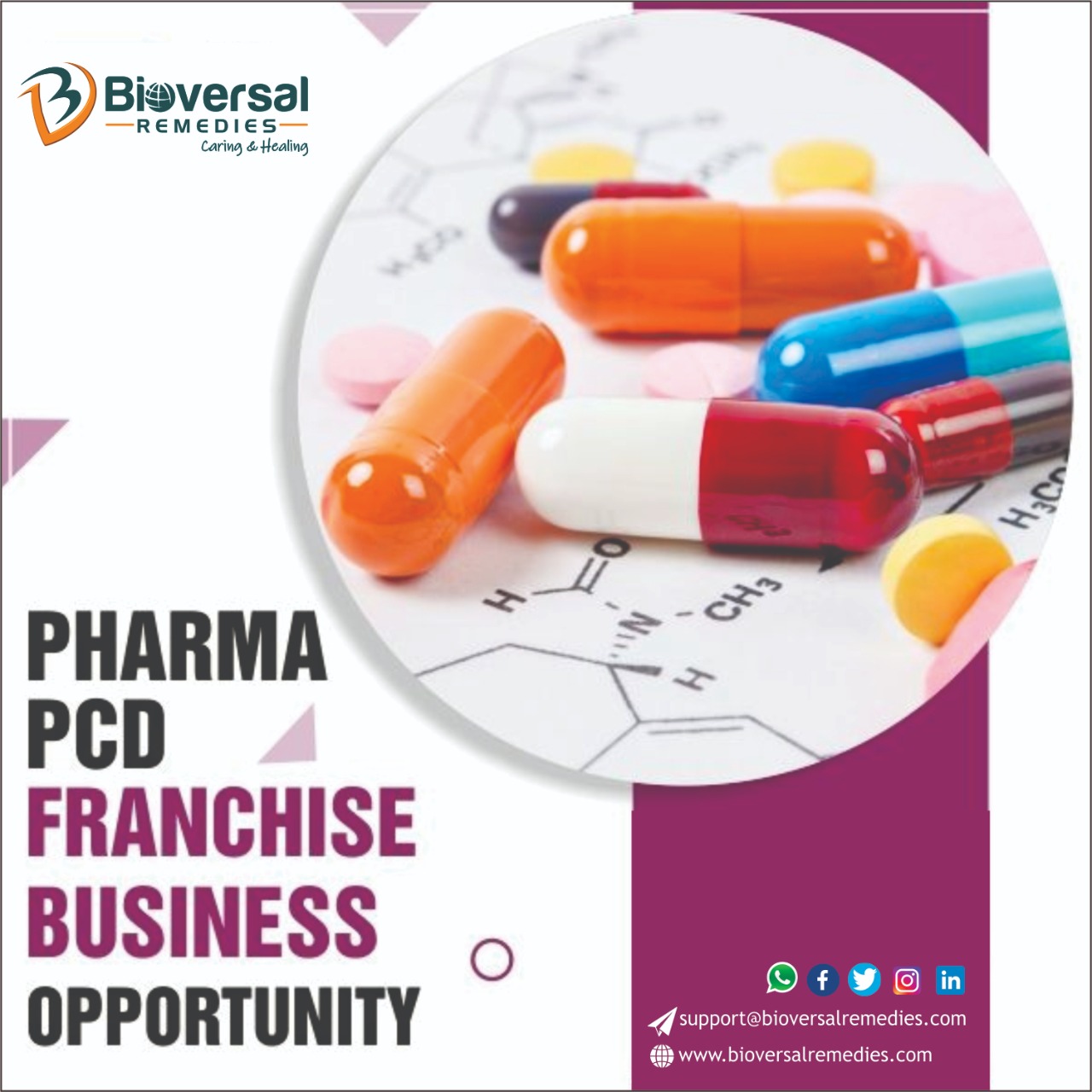 Benefits of a Pharma Franchise Business