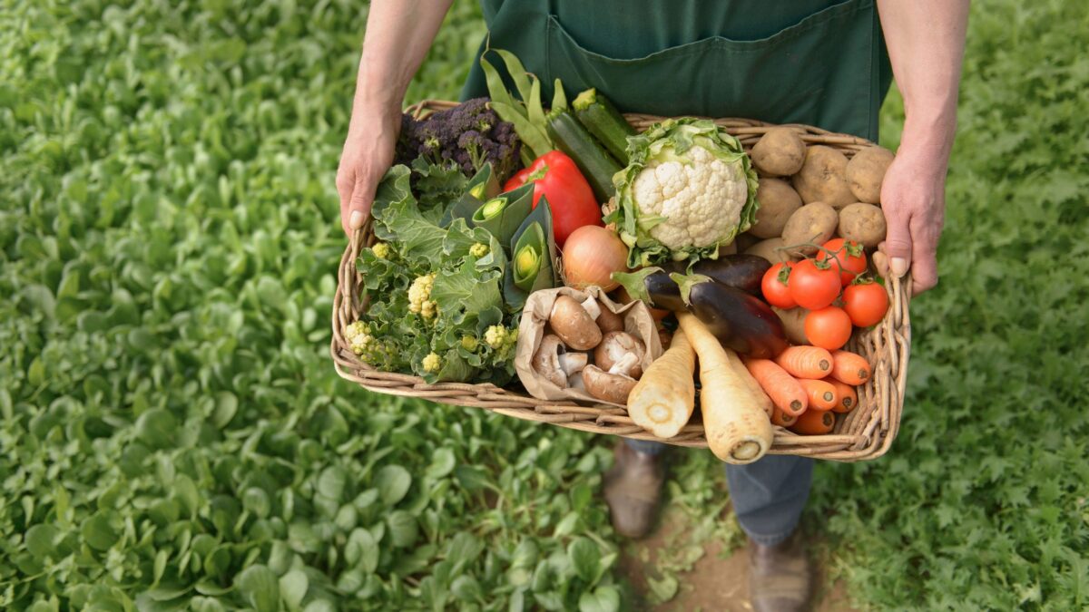 Consumers are Shifting Towards Organic Food in India, Why?