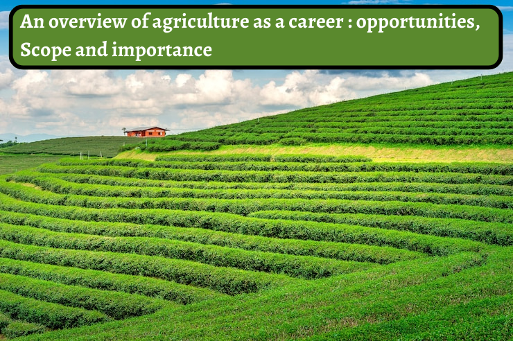 An overview of agriculture as a career : opportunities, scope and importance.
