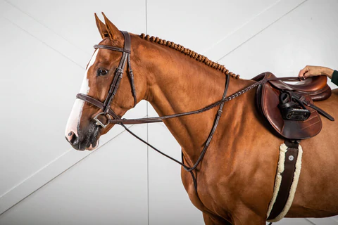 Unleash the Power of Equine Saddlery