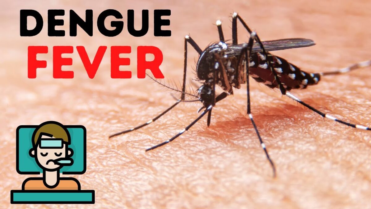 Understanding How to Manage Dengue Fever With A Practical Approach