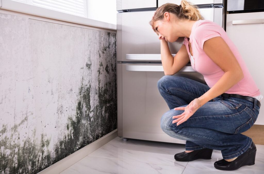 Easy Steps to Remove Black Mold