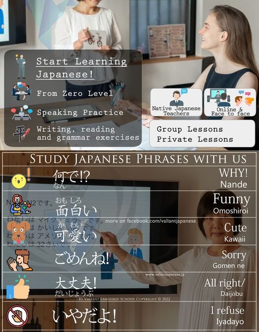 How do you learn the Japanese Language?