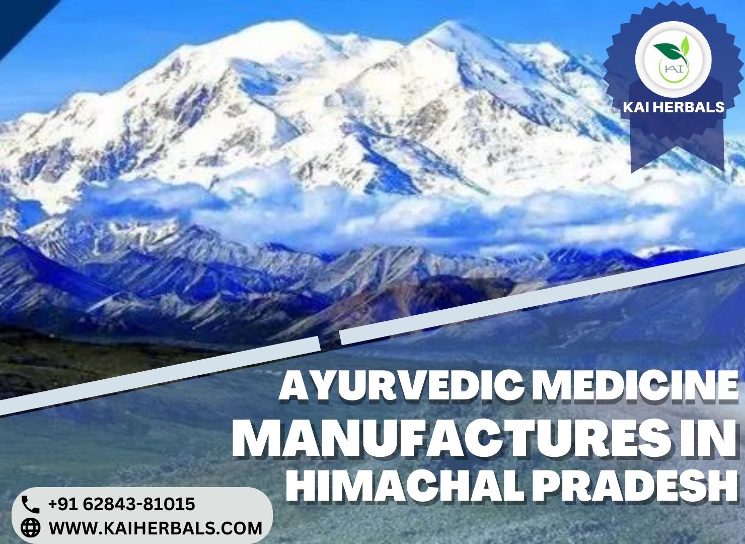 Ayurvedic Medicine Manufactures in Himachal Pradesh