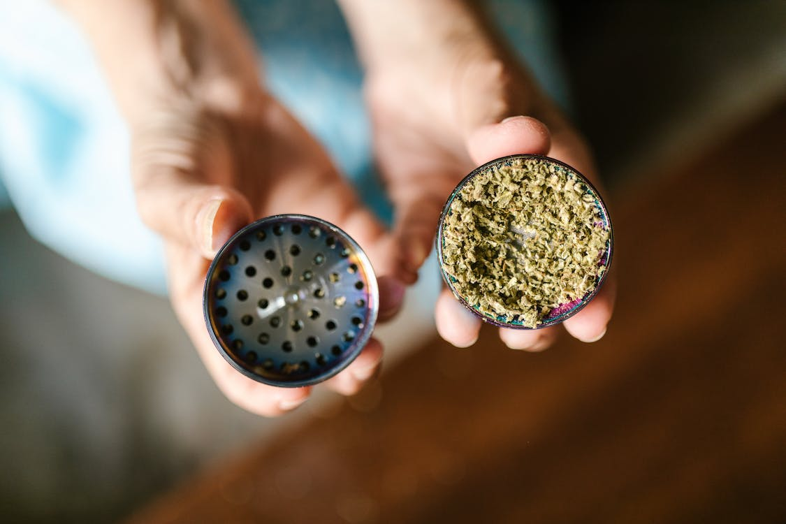 A person holding a can of crushed hemp buds