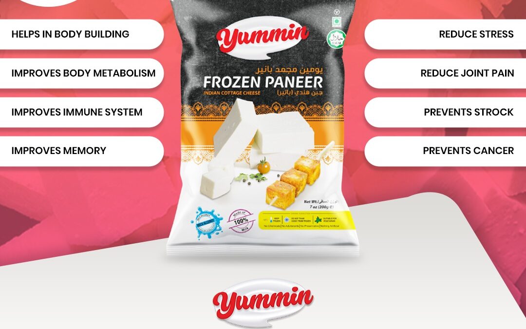 Frozen Paneer Manufacturer and Supplier in India