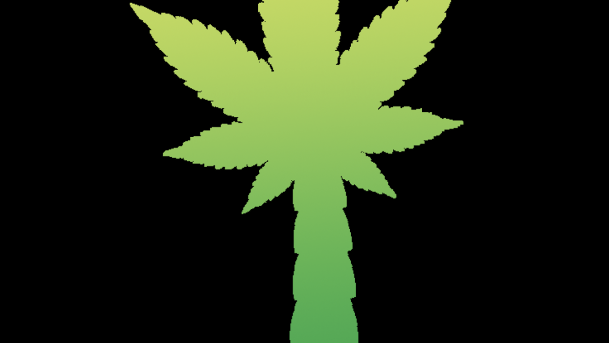 LOOKING FOR A RELIABLE SMOKE SHOP & CBD STORE? FIND OUT HOW TREEZEE CAN PROVIDE YOU THE BEST SERVICES