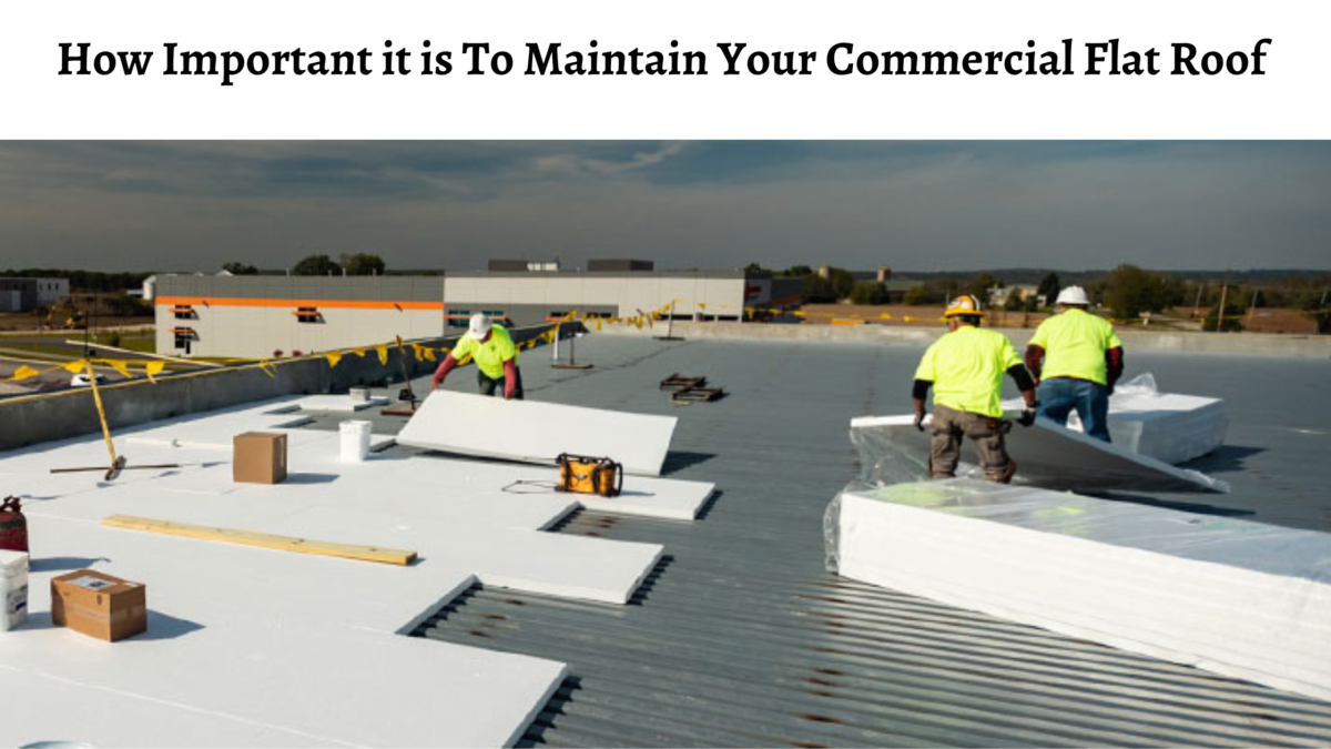 How Important it is To Maintain Your Commercial Flat Roof