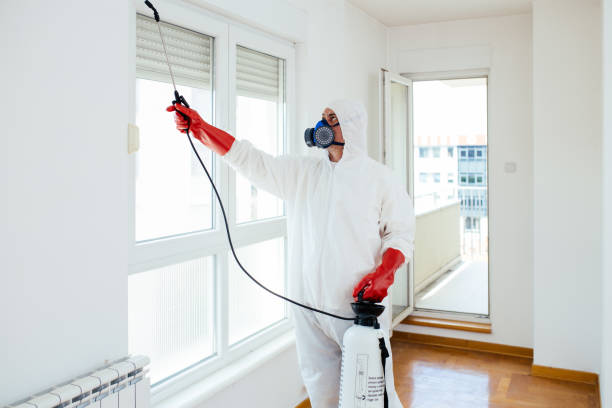 How to Remove Pests from Your Home – A Comprehensive Guide
