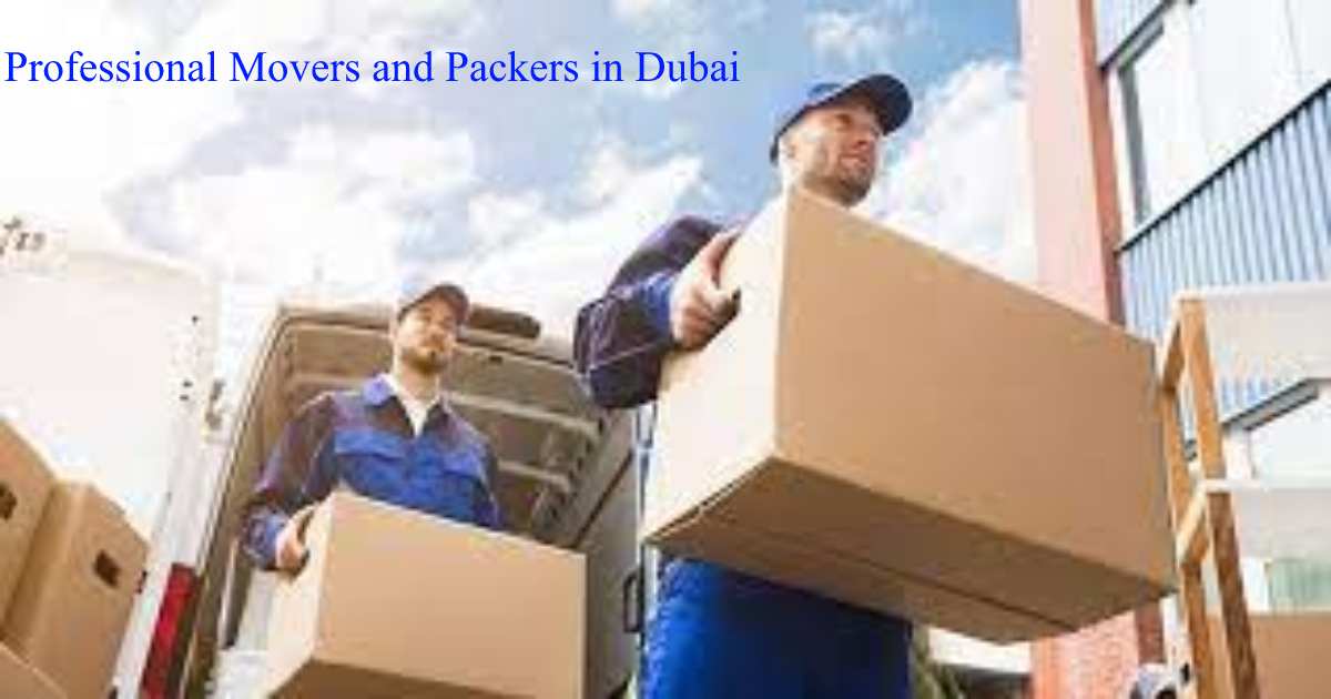 best movers and packers service in Dubai indigomovers.ae