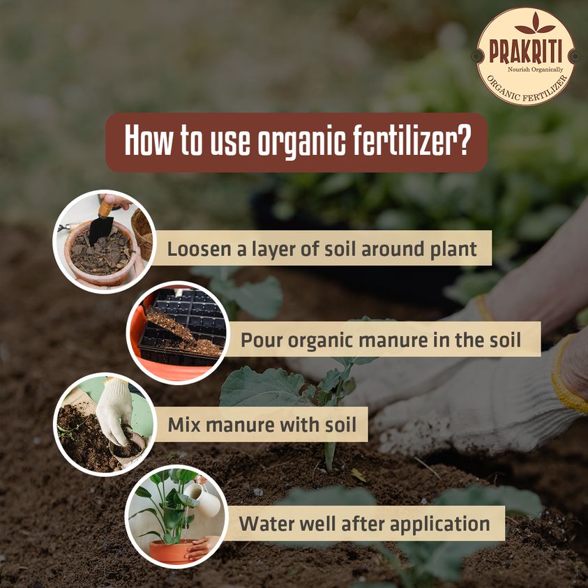 Best fertilizer for plants in india