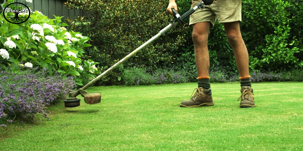 Tips On Your Garden Clearance Go Smoothly