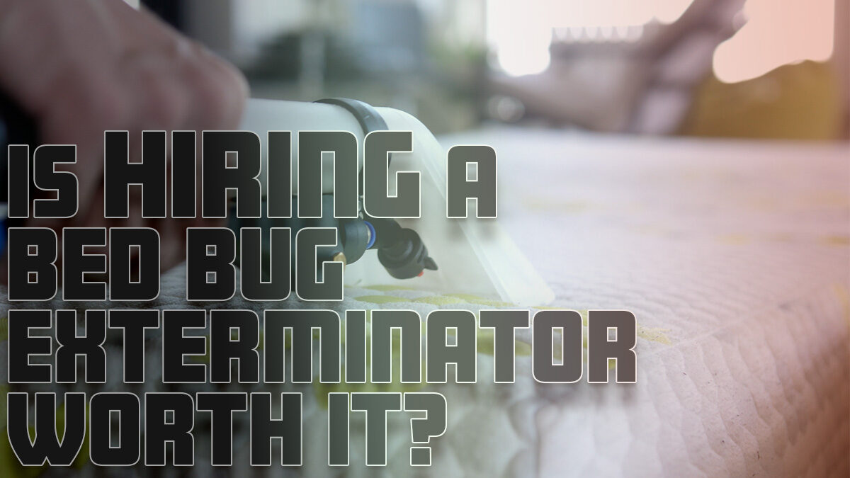 Is Hiring a Bed Bug Exterminator Worth It?