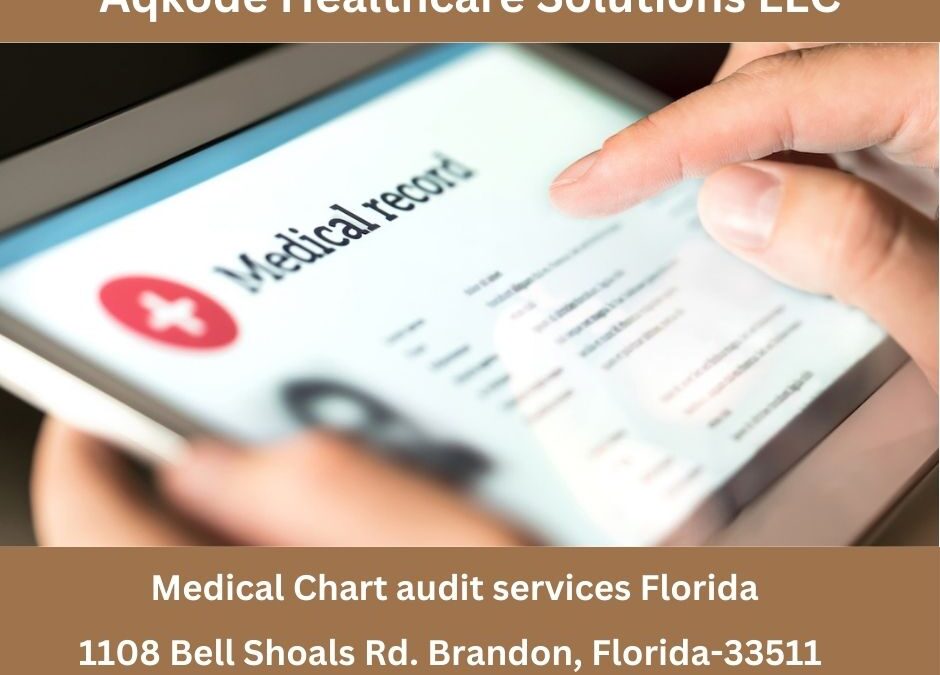 Medical Chart Audit Services In Florida